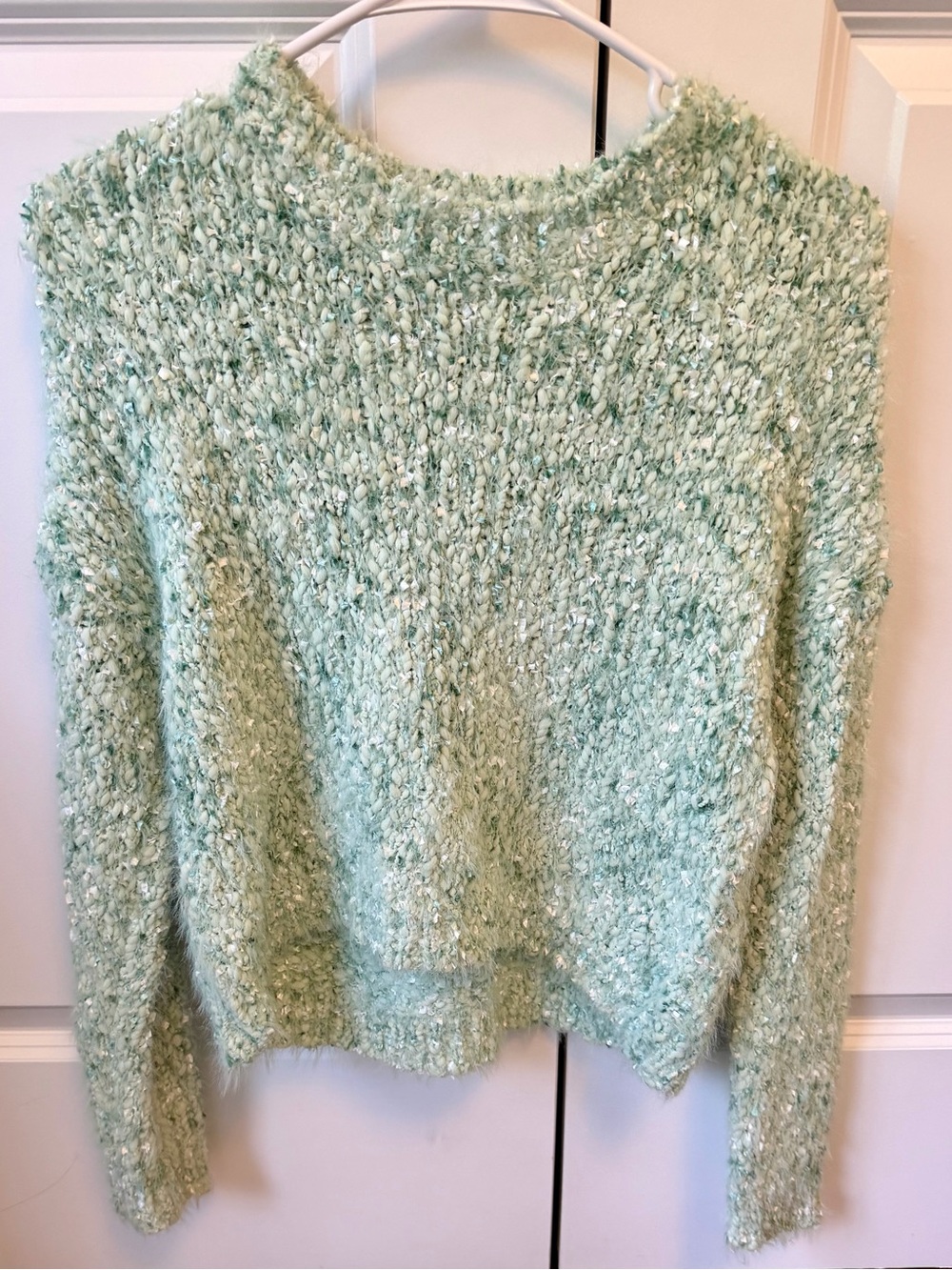 Francesca’s Mint Textured Women's Sweater - Cozy Crewneck